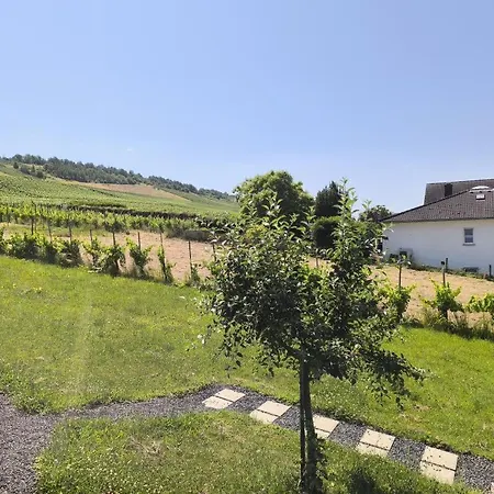 Apartment 180° Moselweitblick *
