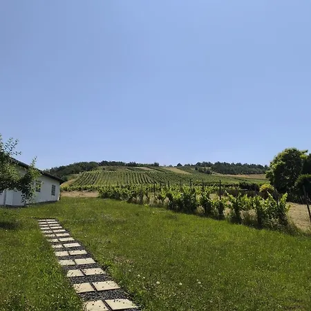 Appartement 180° Moselweitblick