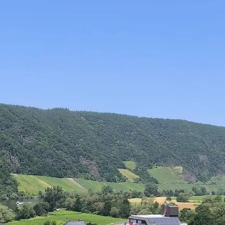 180° Moselweitblick Appartement *